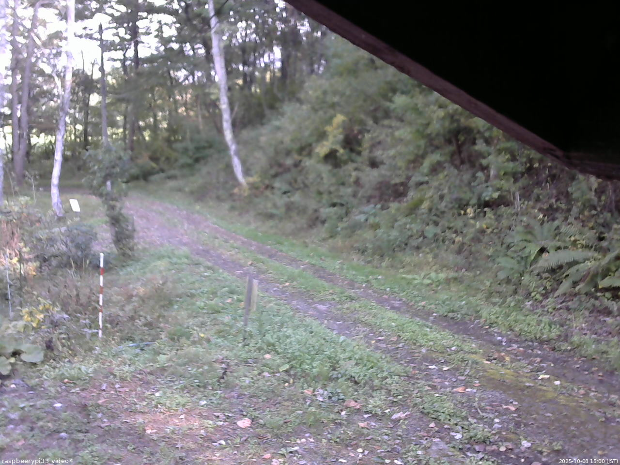 長野県菅平高原 ゆたか山荘 東側(坂下) 2025/10/08 15:00