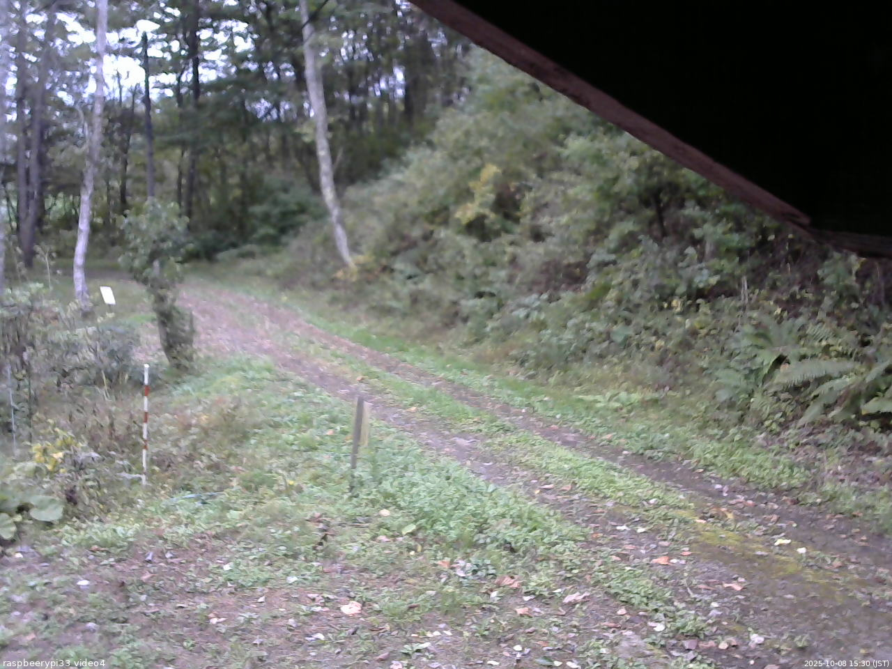 長野県菅平高原 ゆたか山荘 東側(坂下) 2025/10/08 15:30