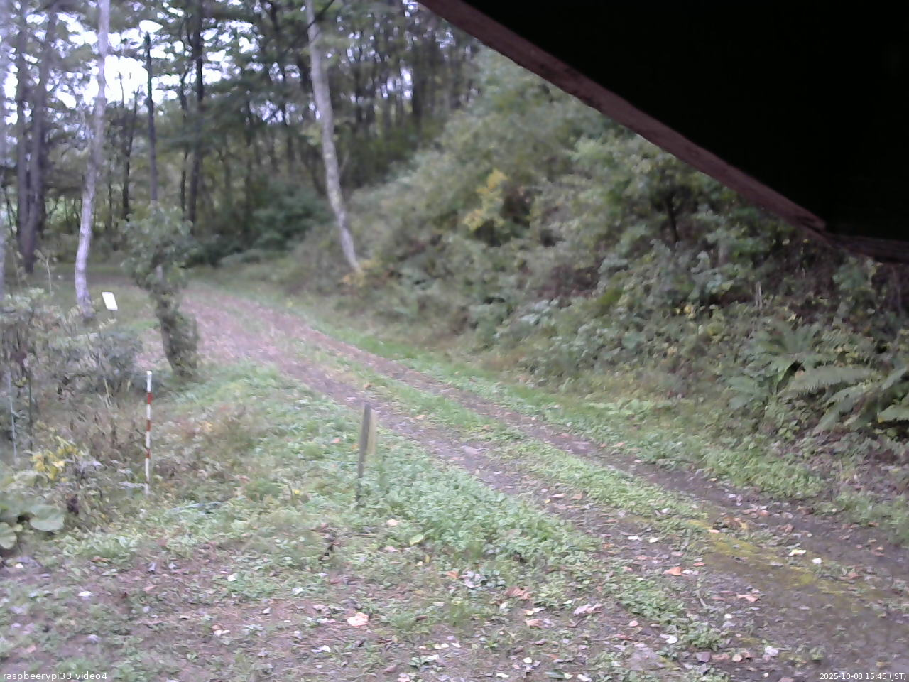 長野県菅平高原 ゆたか山荘 東側(坂下) 2025/10/08 15:45