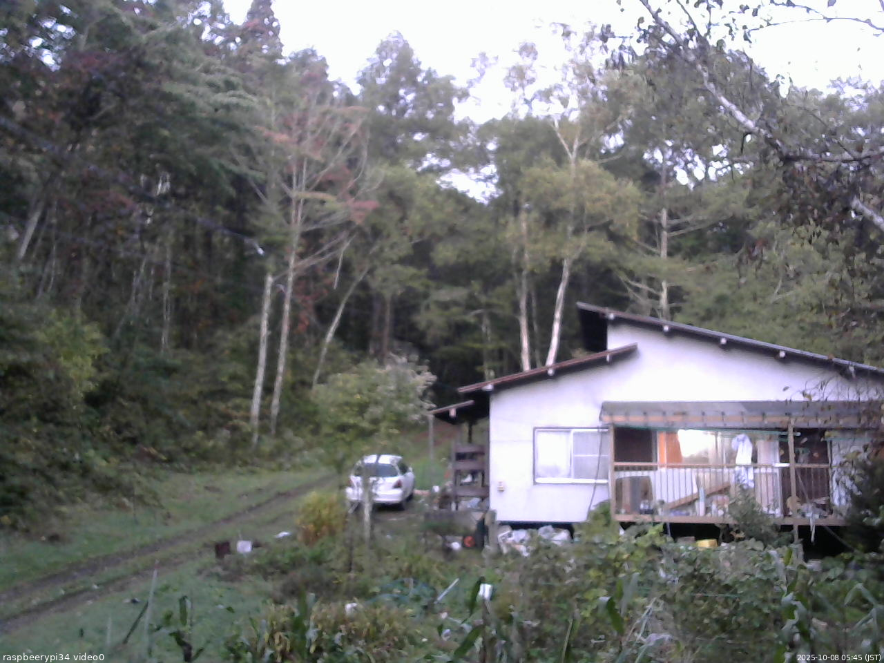 長野県菅平高原 ゆたか山荘 西側(坂上) 2025/10/08 05:45