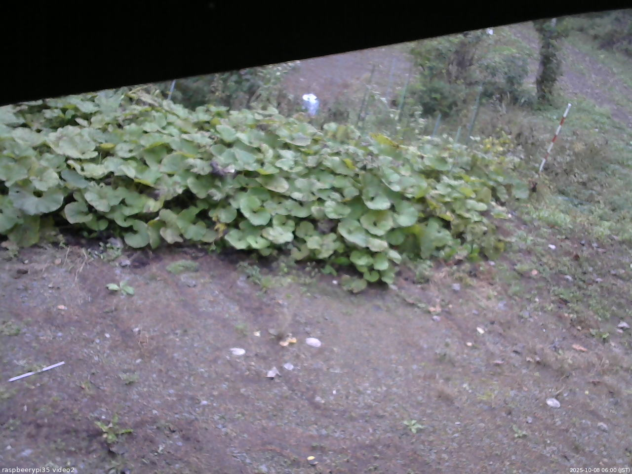 長野県菅平高原 ゆたか山荘 駐車場 2025/10/08 06:00