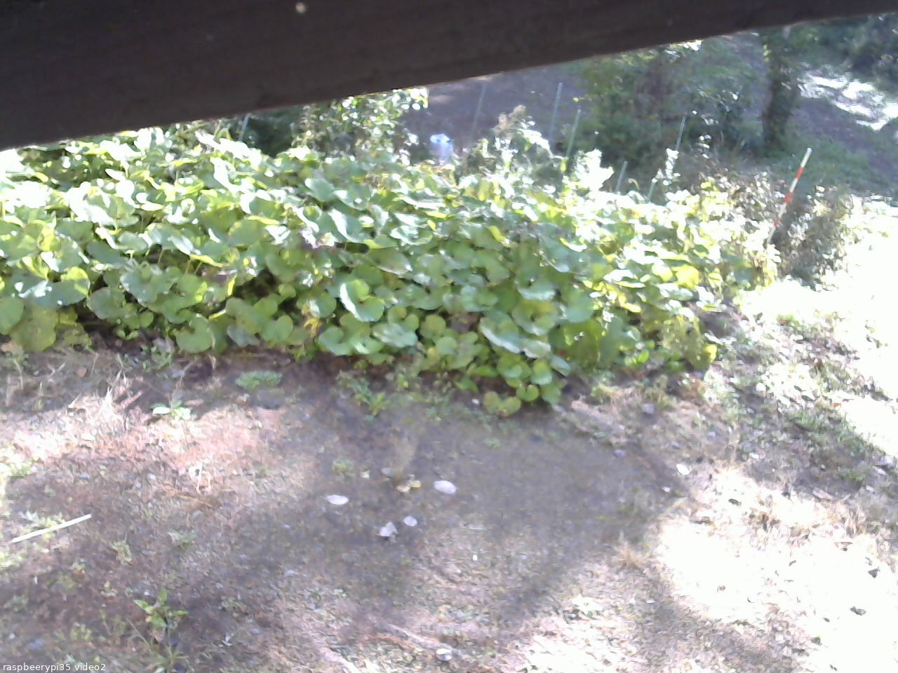 長野県菅平高原 ゆたか山荘 駐車場 2025/10/08 07:45
