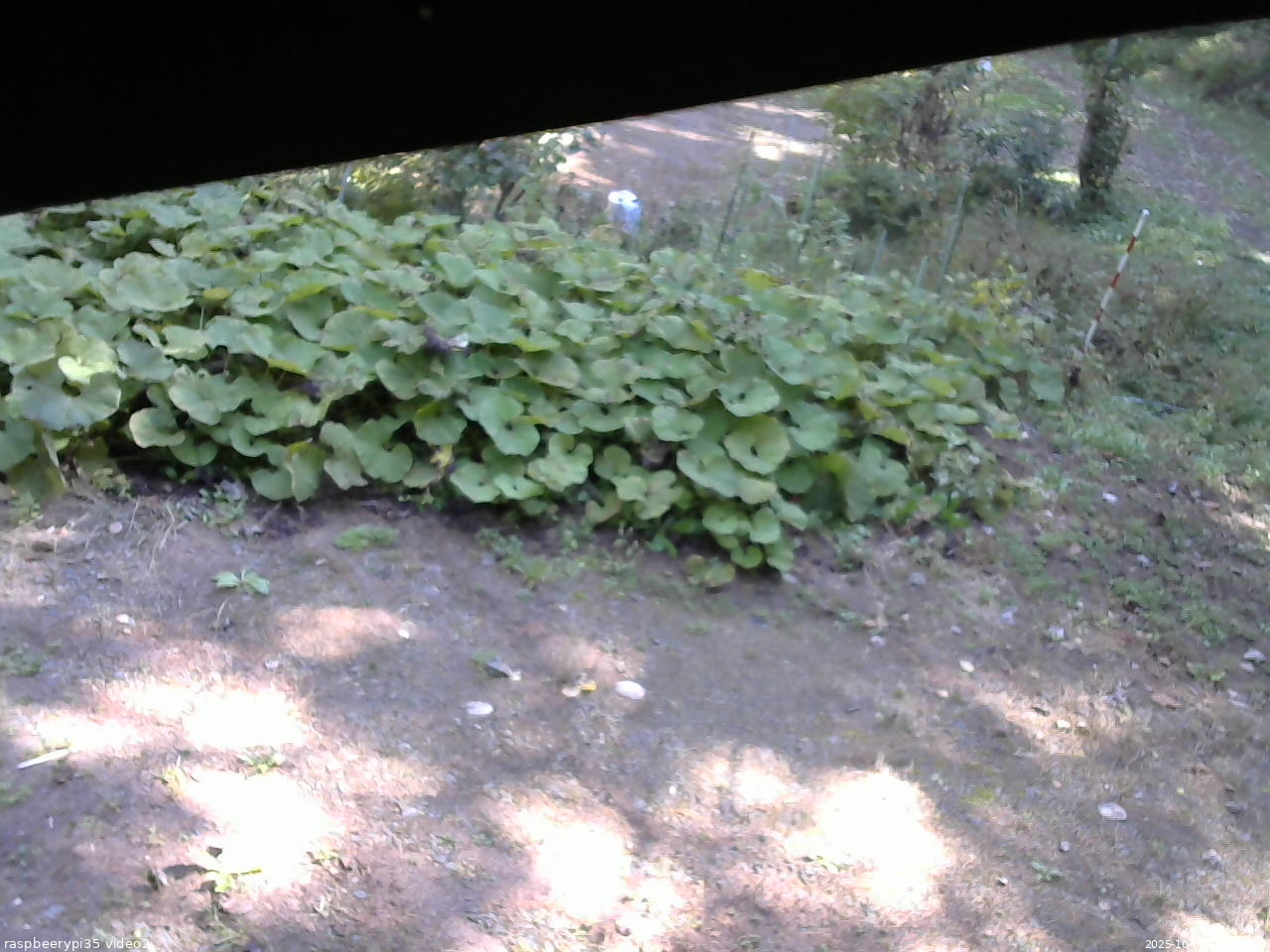 長野県菅平高原 ゆたか山荘 駐車場 2025/10/08 11:00