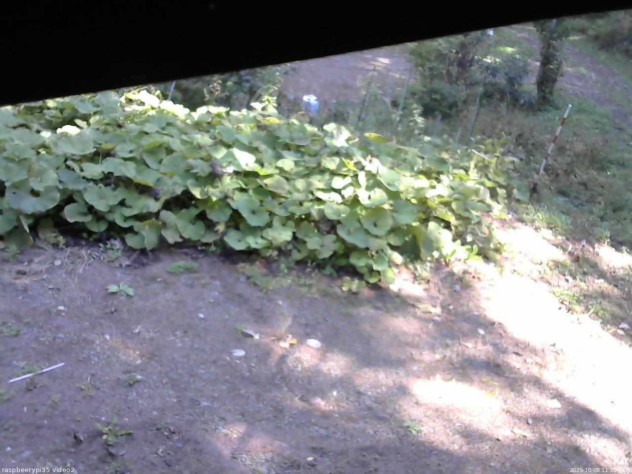 長野県菅平高原 ゆたか山荘 駐車場 2025/10/08 11:30