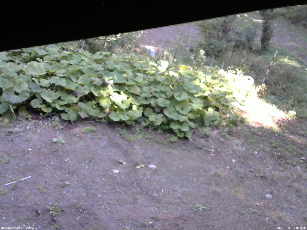 長野県菅平高原 ゆたか山荘 駐車場 2025/10/08 12:00