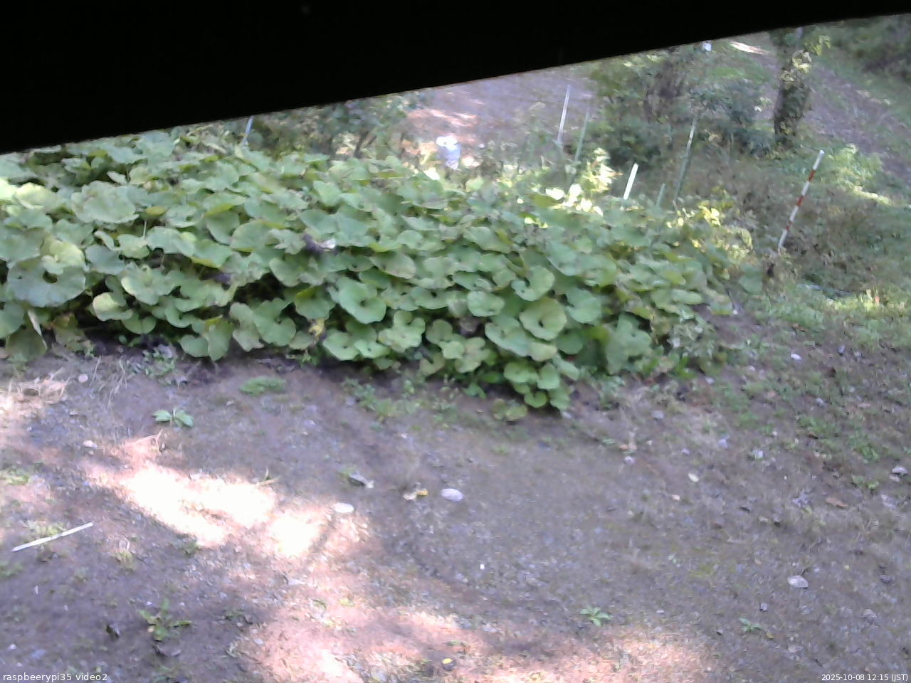 長野県菅平高原 ゆたか山荘 駐車場 2025/10/08 12:15