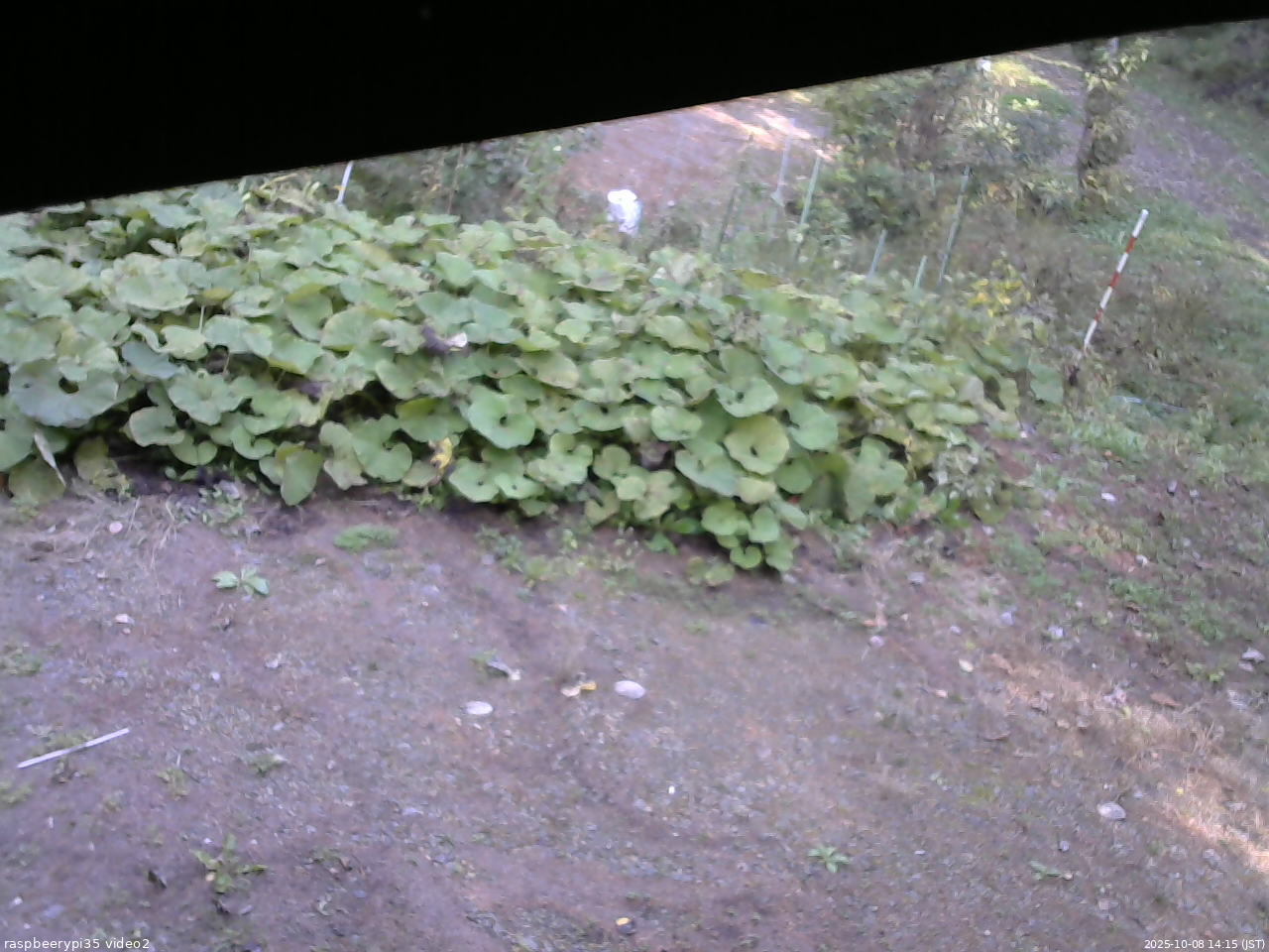長野県菅平高原 ゆたか山荘 駐車場 2025/10/08 14:15