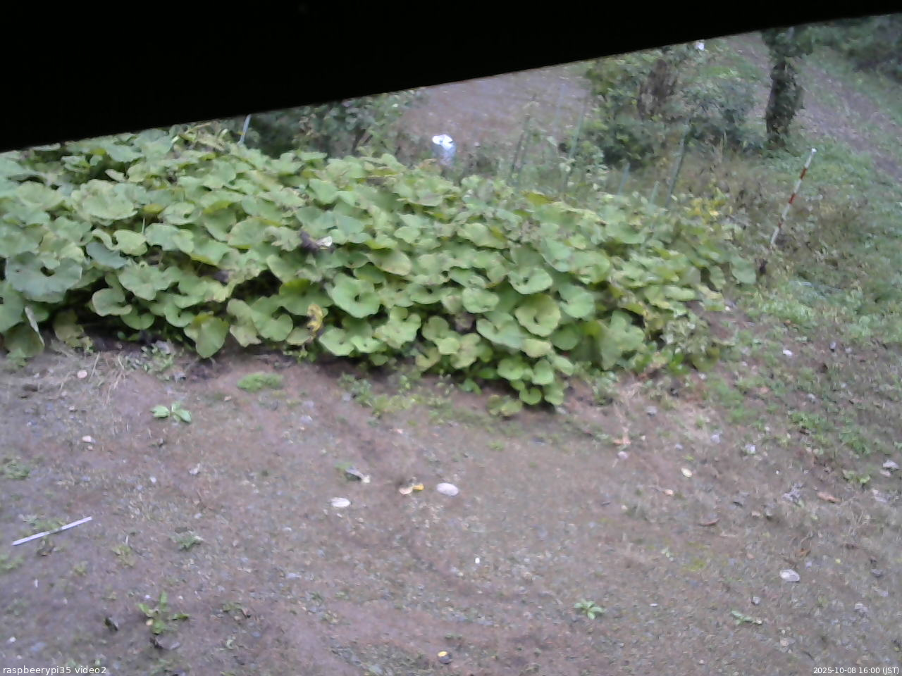 長野県菅平高原 ゆたか山荘 駐車場 2025/10/08 16:00