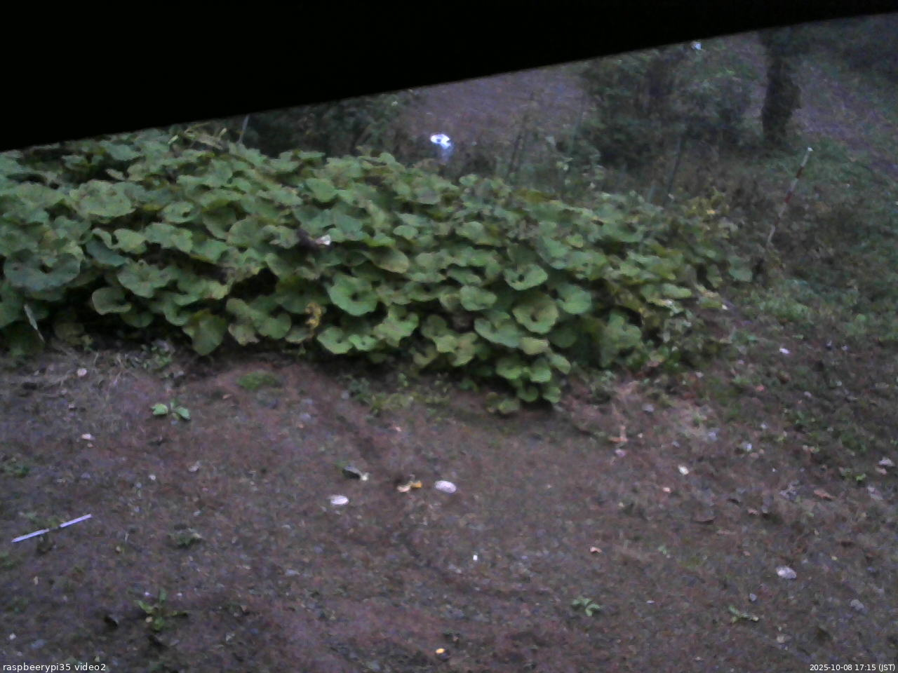 長野県菅平高原 ゆたか山荘 駐車場 2025/10/08 17:15
