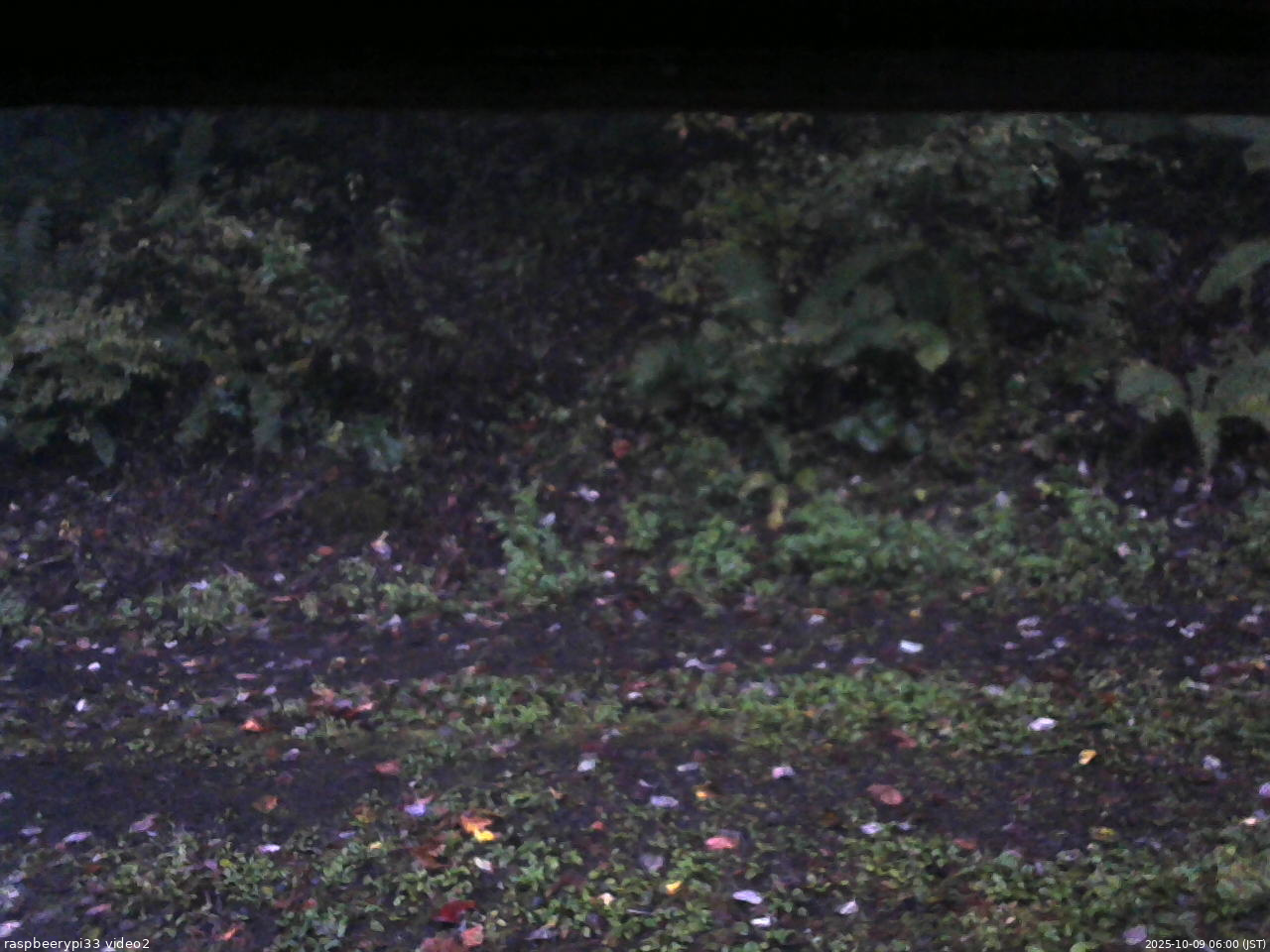 長野県菅平高原 ゆたか山荘 南側 2025/10/09 06:00