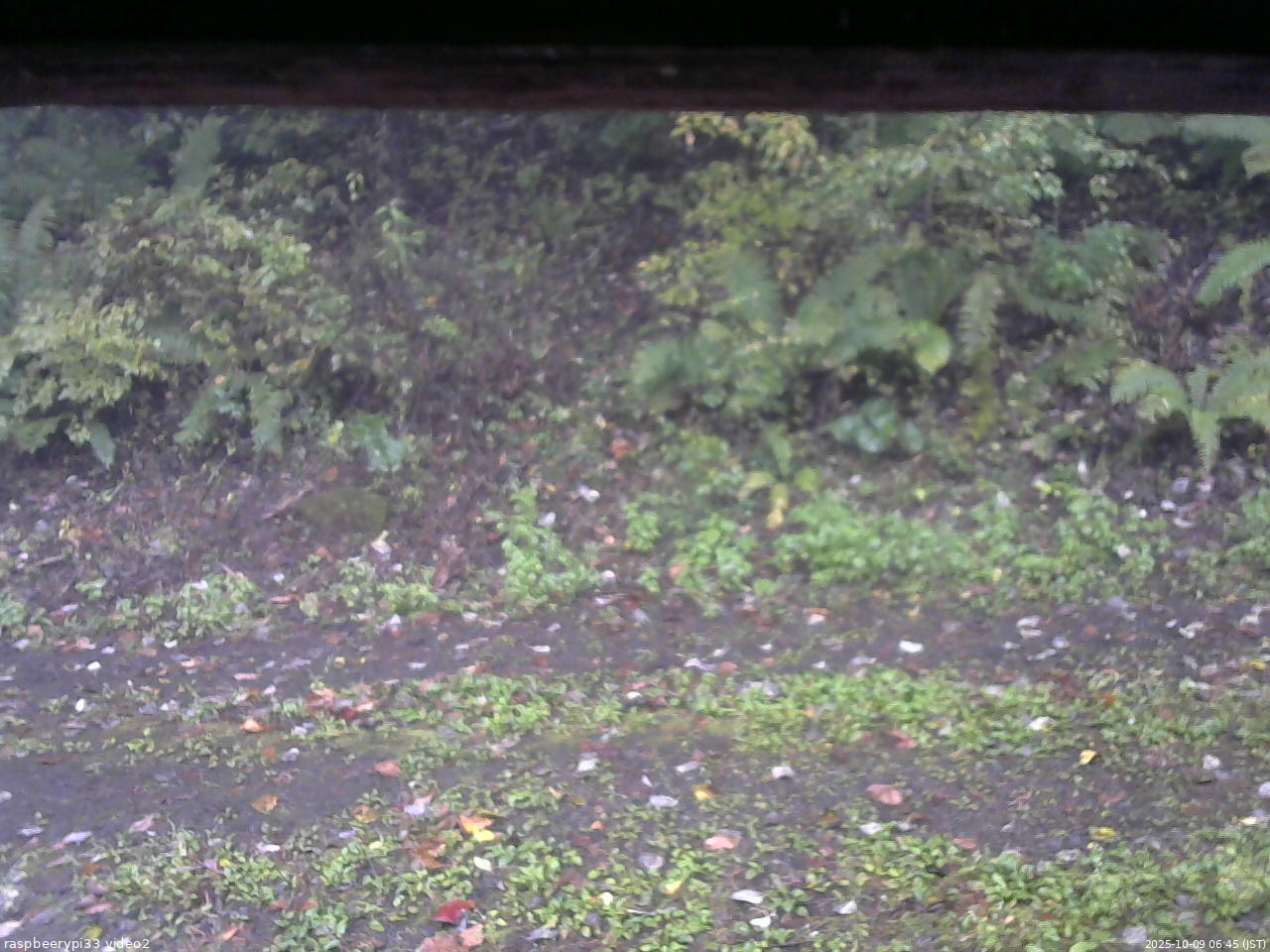長野県菅平高原 ゆたか山荘 南側 2025/10/09 06:45