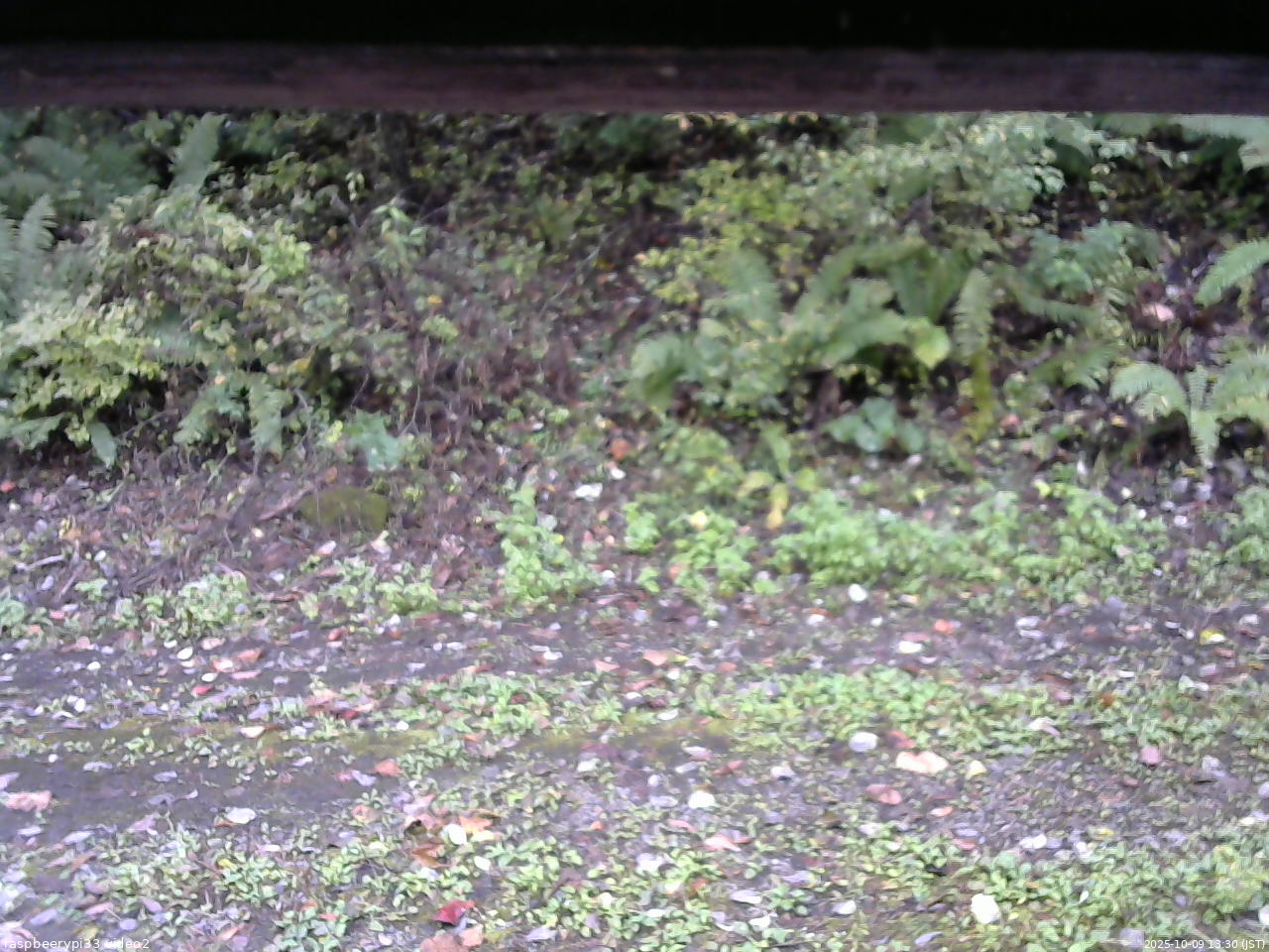 長野県菅平高原 ゆたか山荘 南側 2025/10/09 13:30