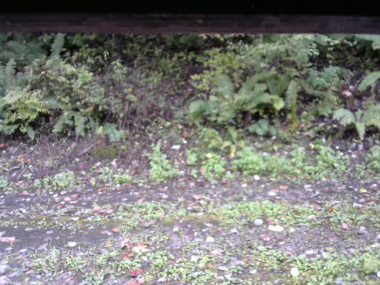 長野県菅平高原 ゆたか山荘 南側 2025/10/09 13:45