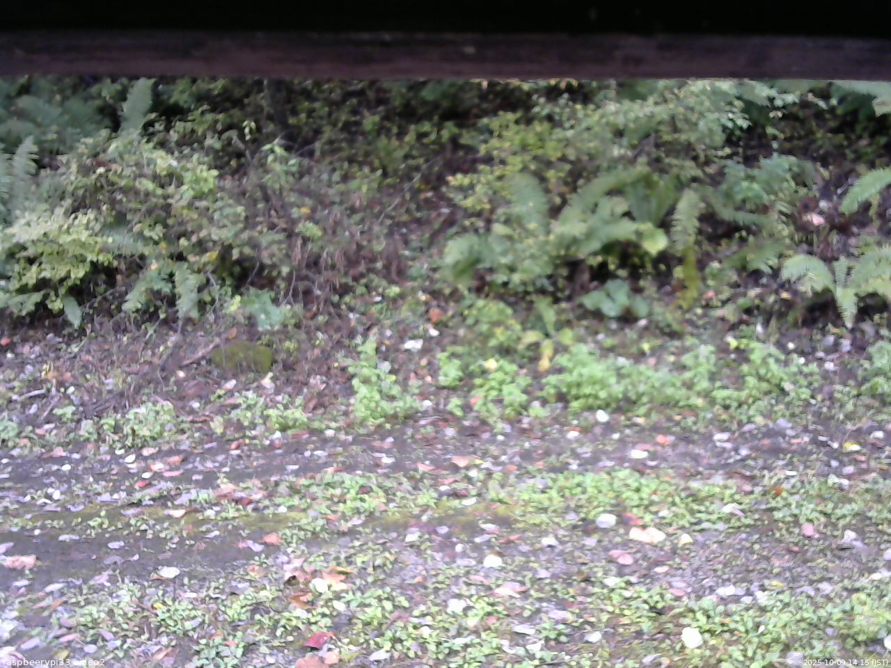 長野県菅平高原 ゆたか山荘 南側 2025/10/09 14:15