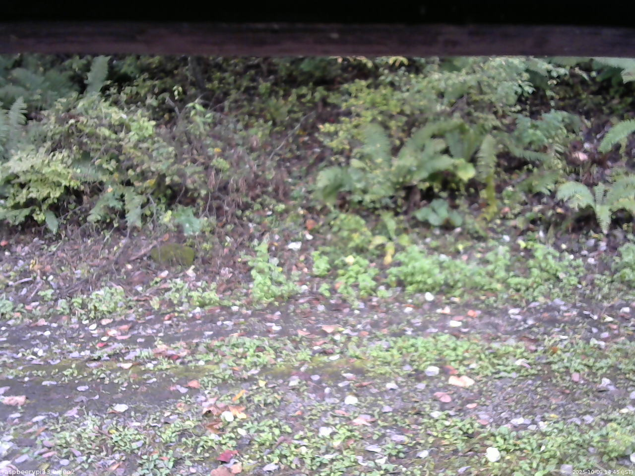 長野県菅平高原 ゆたか山荘 南側 2025/10/09 14:45