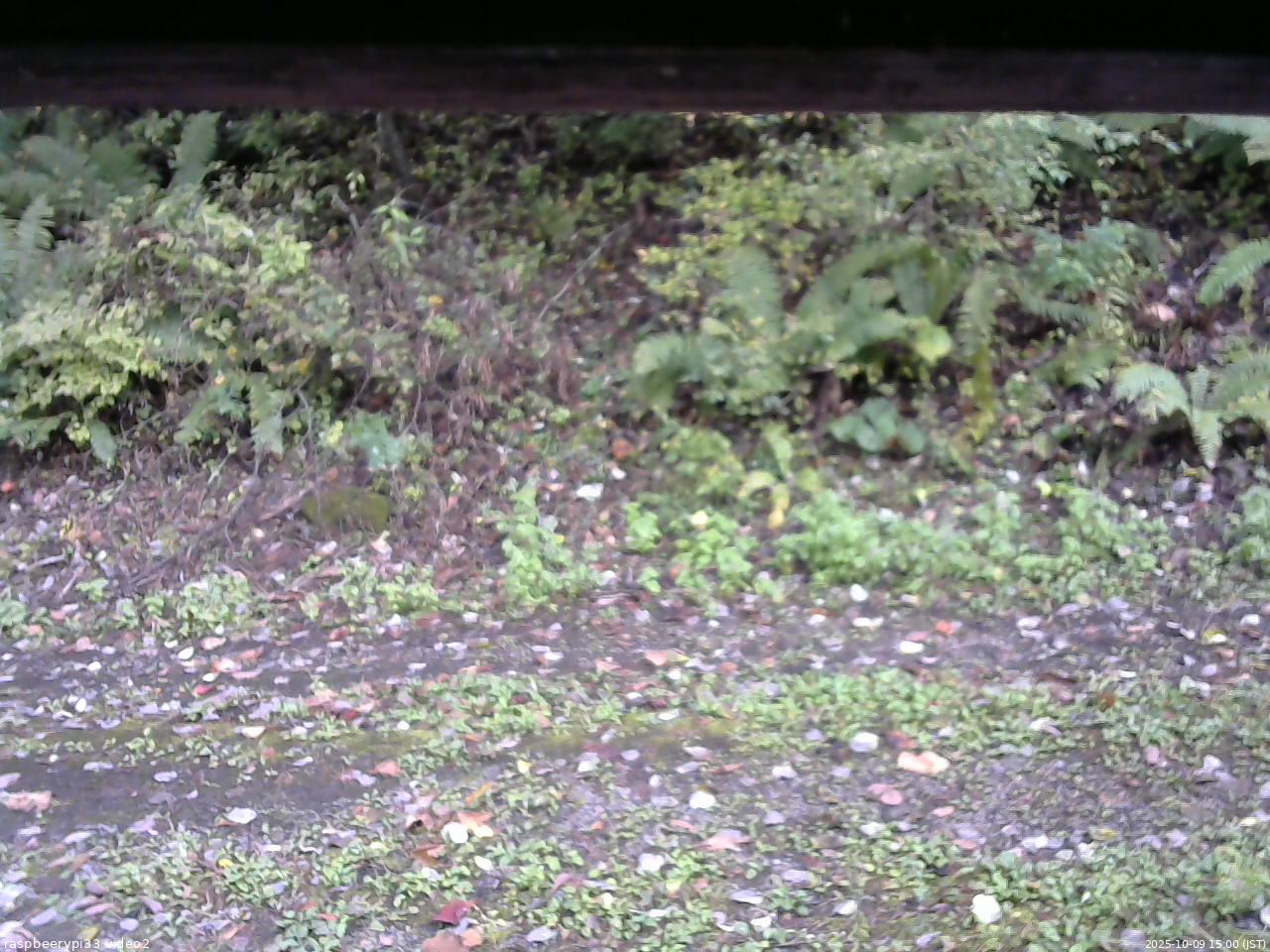 長野県菅平高原 ゆたか山荘 南側 2025/10/09 15:00