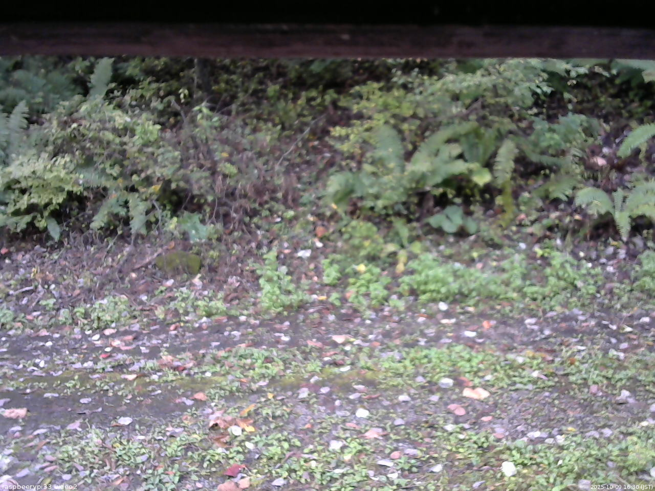 長野県菅平高原 ゆたか山荘 南側 2025/10/09 16:30