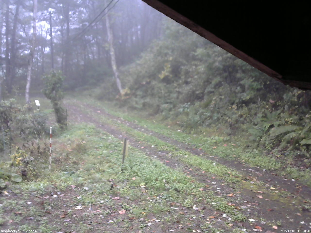 長野県菅平高原 ゆたか山荘 東側(坂下) 2025/10/09 11:15
