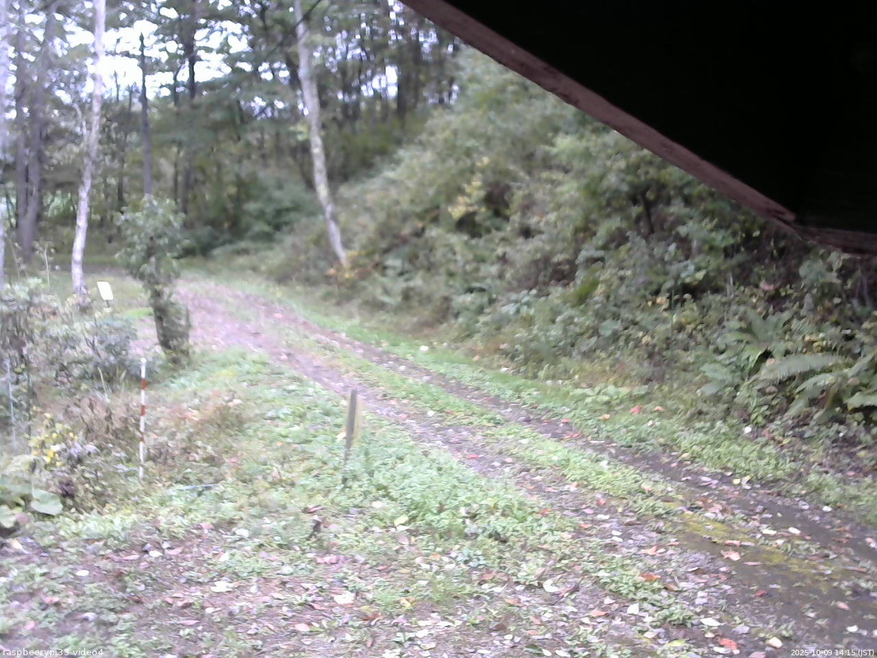 長野県菅平高原 ゆたか山荘 東側(坂下) 2025/10/09 14:15