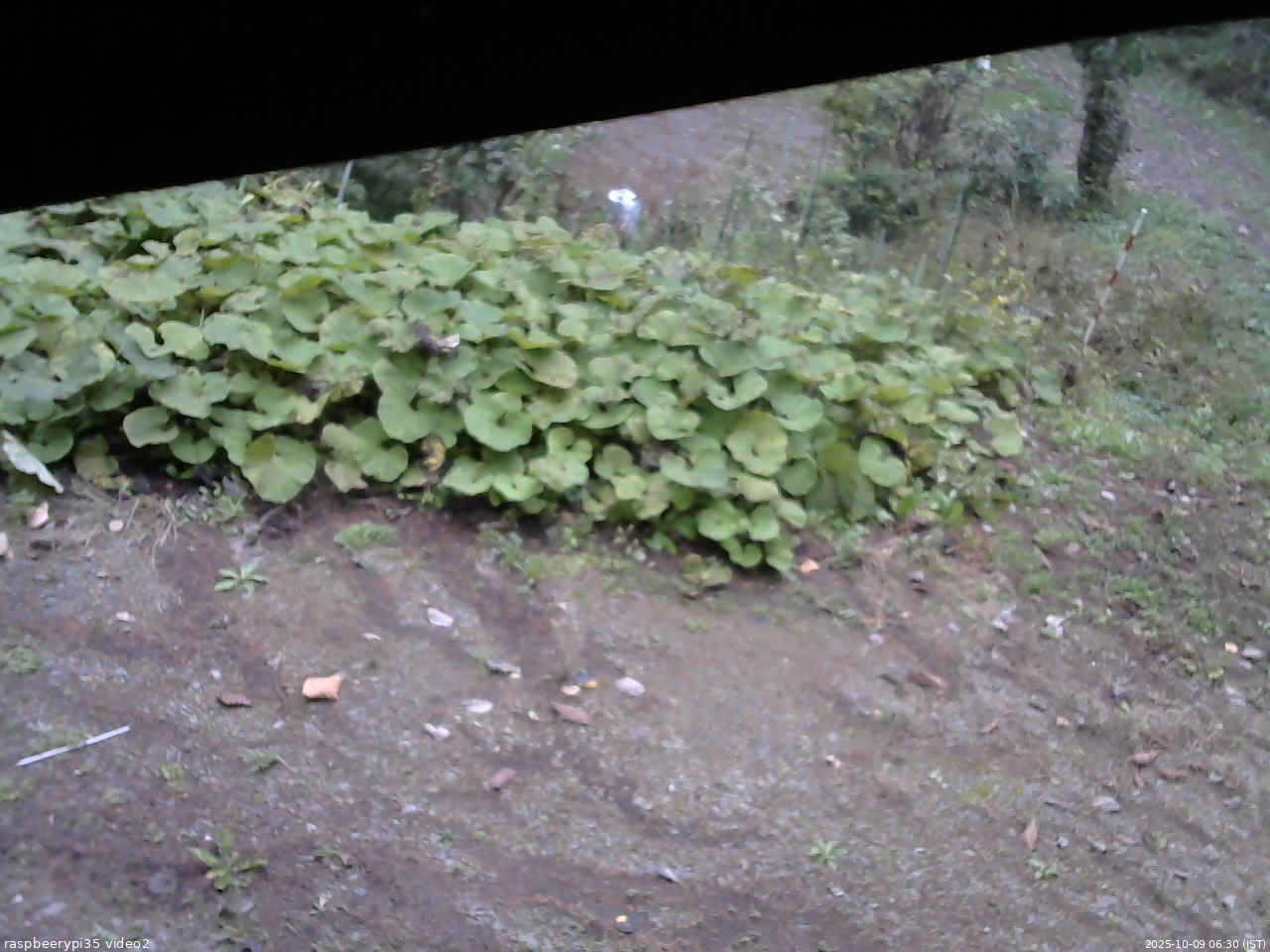長野県菅平高原 ゆたか山荘 駐車場 2025/10/09 06:30