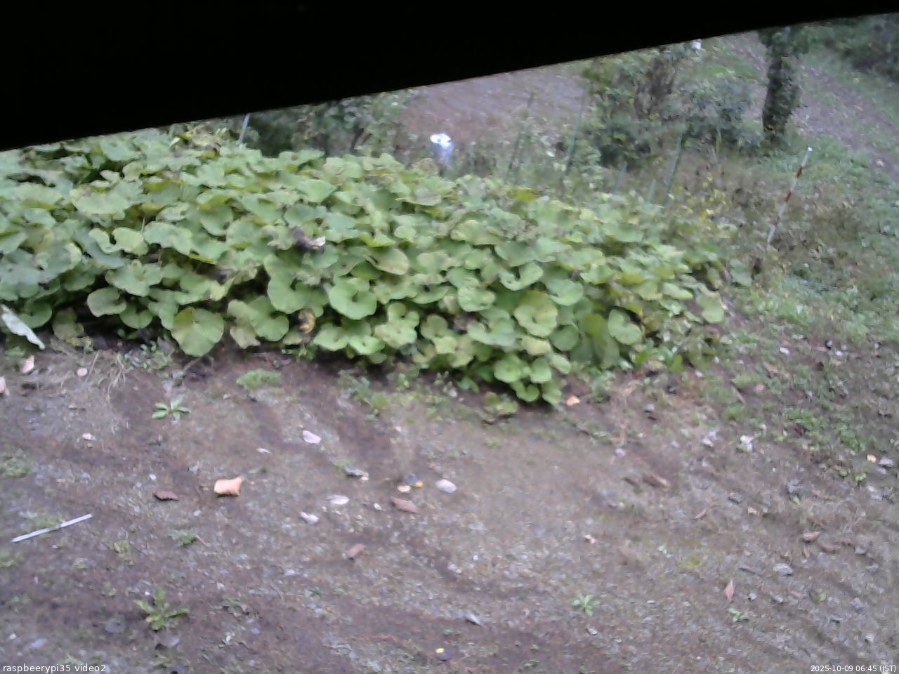 長野県菅平高原 ゆたか山荘 駐車場 2025/10/09 06:45