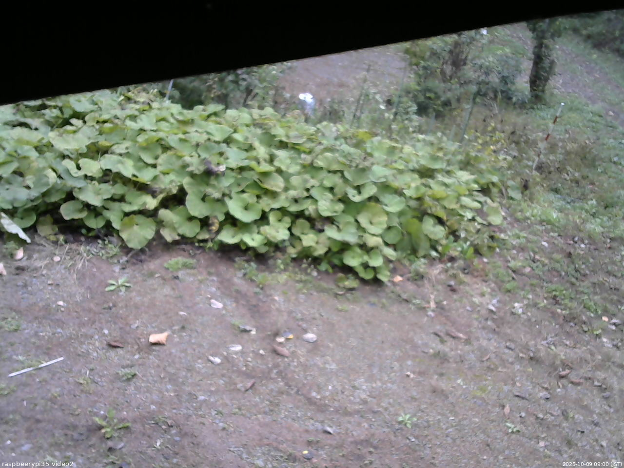 長野県菅平高原 ゆたか山荘 駐車場 2025/10/09 09:00