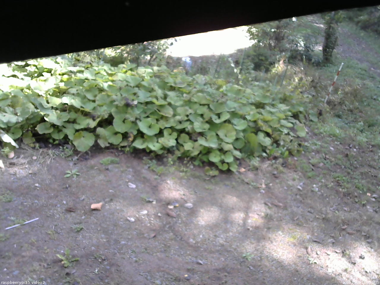 長野県菅平高原 ゆたか山荘 駐車場 2025/10/09 10:00