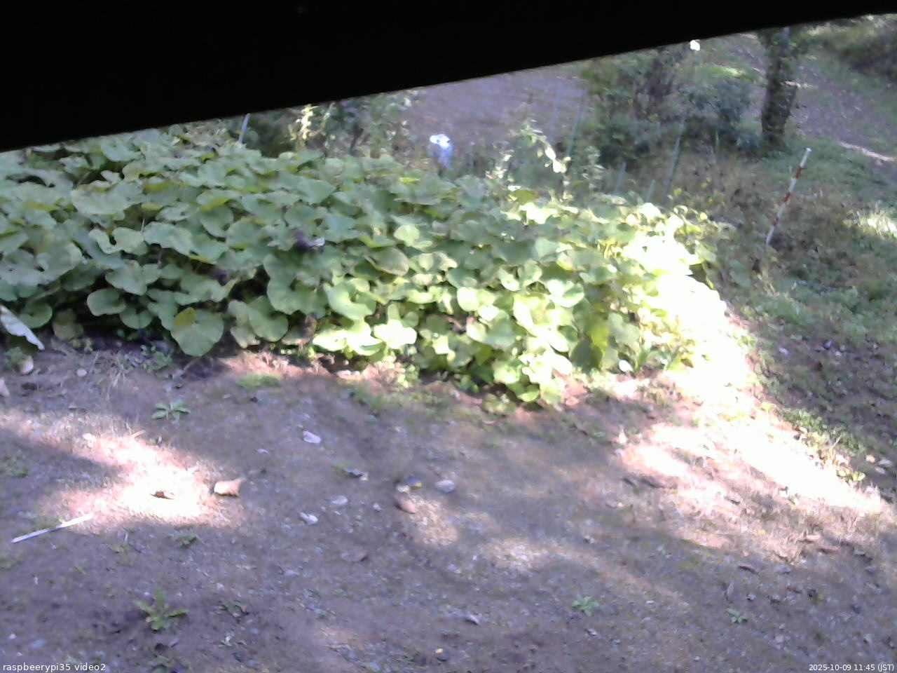 長野県菅平高原 ゆたか山荘 駐車場 2025/10/09 11:45