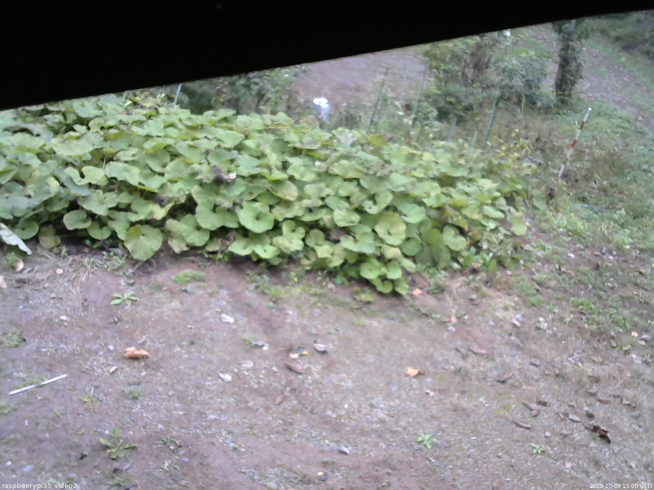 長野県菅平高原 ゆたか山荘 駐車場 2025/10/09 15:00