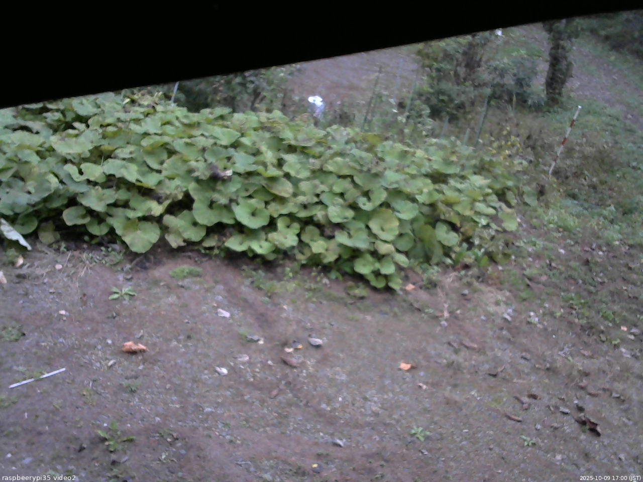 長野県菅平高原 ゆたか山荘 駐車場 2025/10/09 17:00