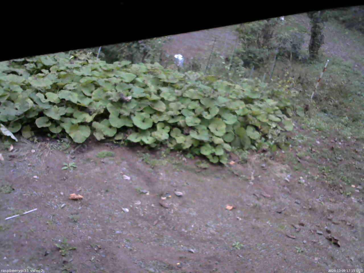 長野県菅平高原 ゆたか山荘 駐車場 2025/10/09 17:15