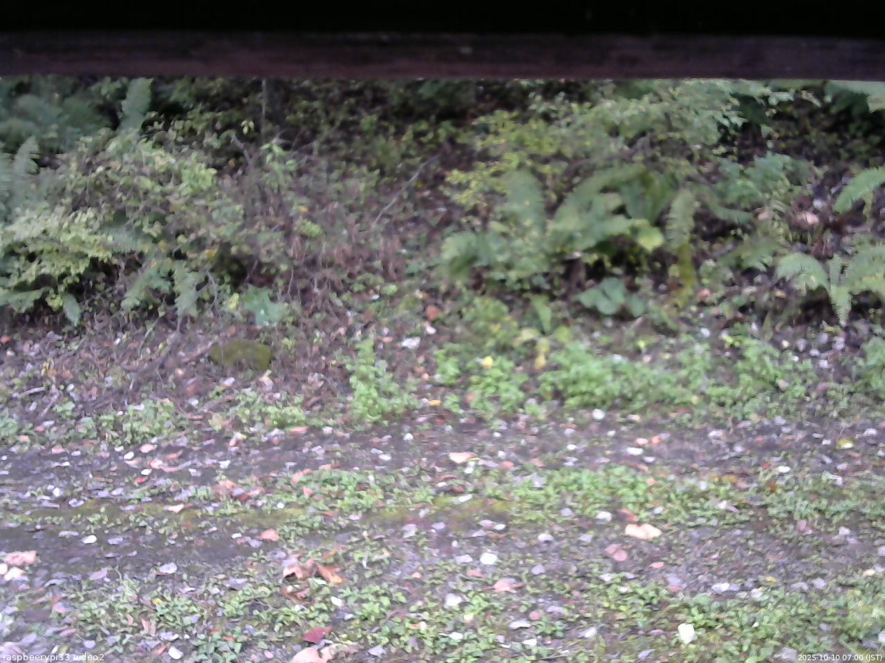 長野県菅平高原 ゆたか山荘 南側 2025/10/10 07:00