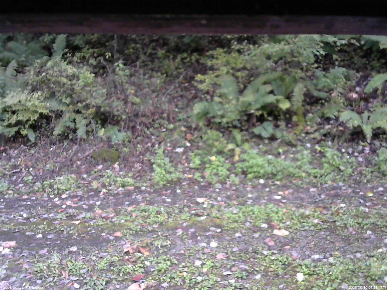 長野県菅平高原 ゆたか山荘 南側 2025/10/10 07:15