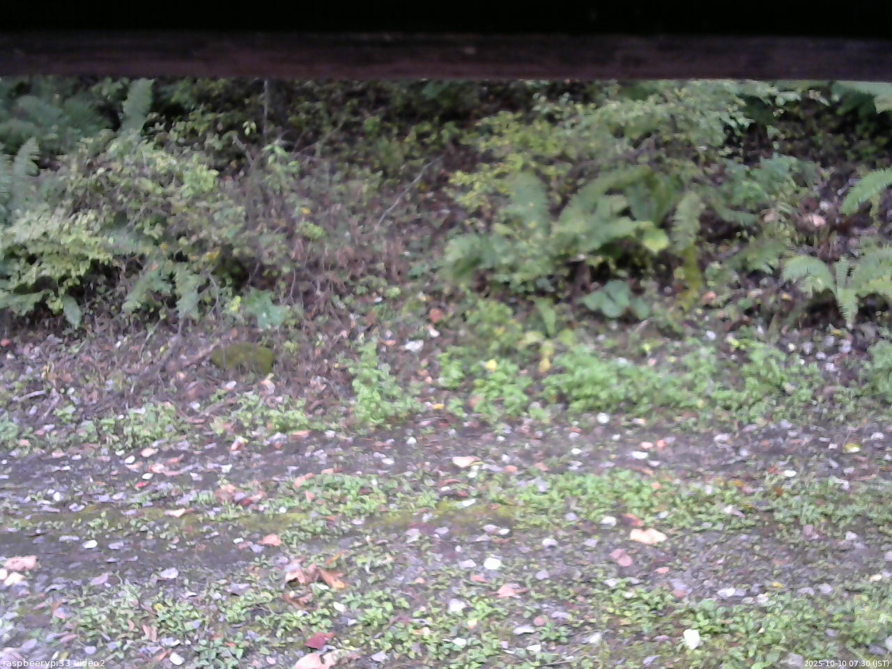 長野県菅平高原 ゆたか山荘 南側 2025/10/10 07:30