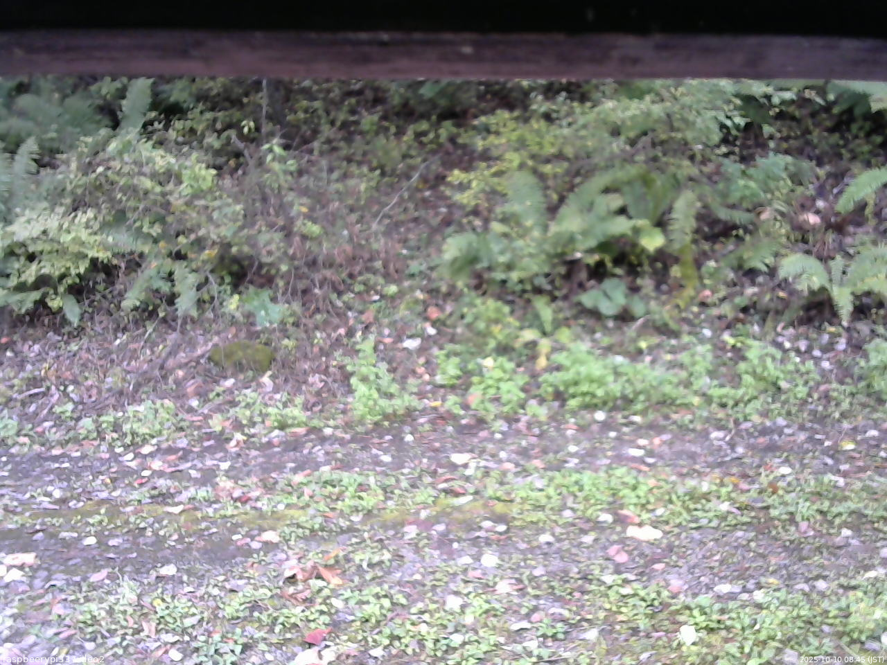 長野県菅平高原 ゆたか山荘 南側 2025/10/10 08:45