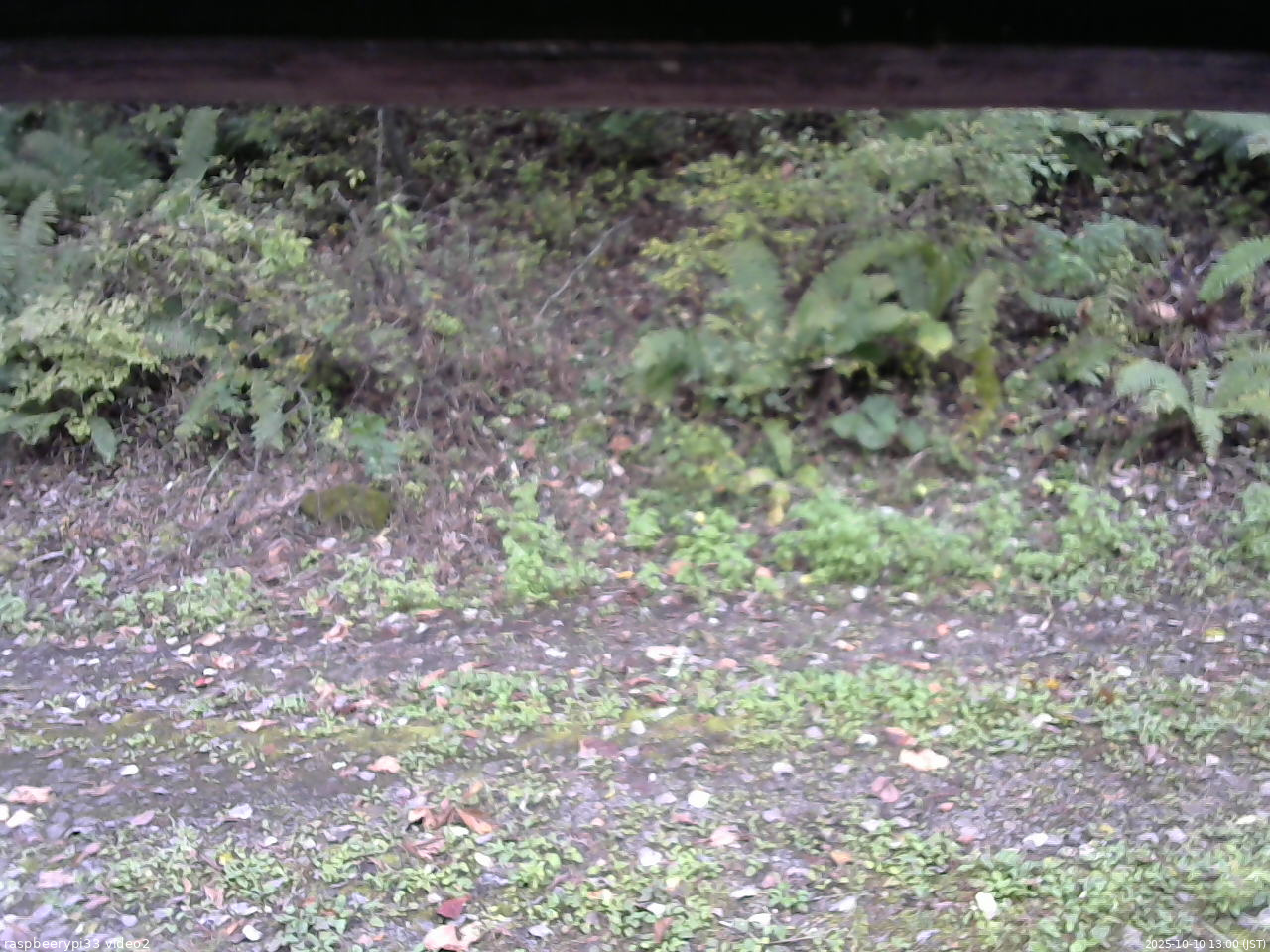 長野県菅平高原 ゆたか山荘 南側 2025/10/10 13:00