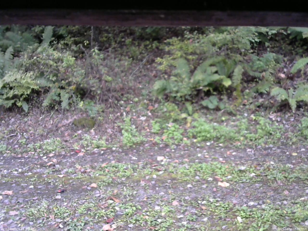 長野県菅平高原 ゆたか山荘 南側 2025/10/10 15:00