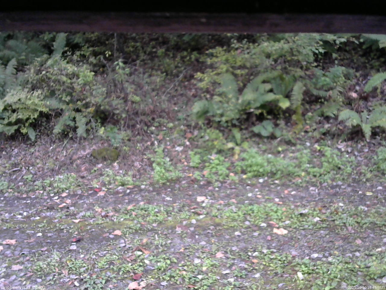 長野県菅平高原 ゆたか山荘 南側 2025/10/10 16:45