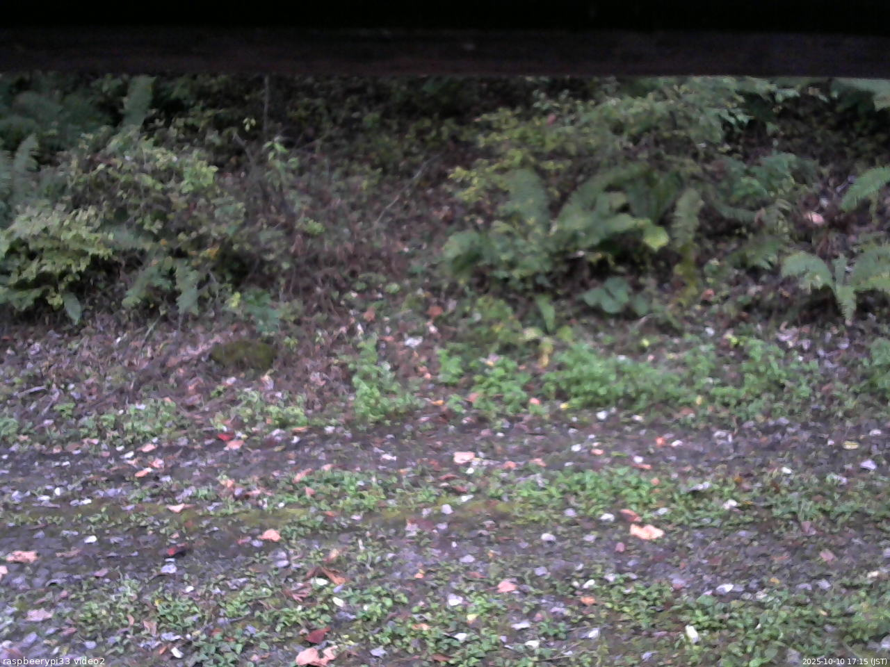 長野県菅平高原 ゆたか山荘 南側 2025/10/10 17:15