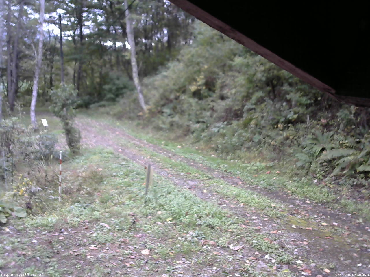 長野県菅平高原 ゆたか山荘 東側(坂下) 2025/10/10 07:30