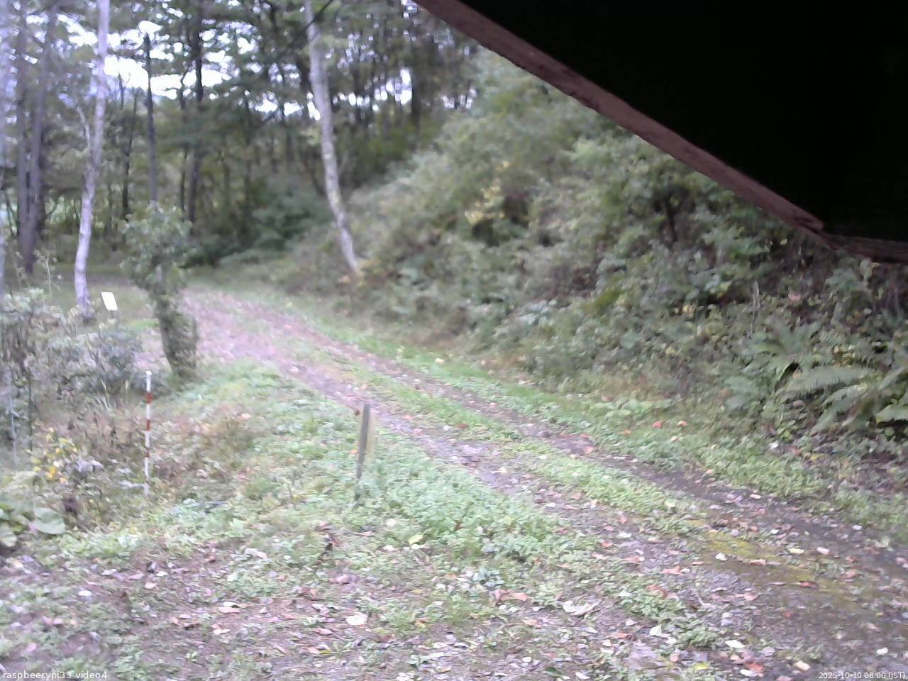 長野県菅平高原 ゆたか山荘 東側(坂下) 2025/10/10 08:00