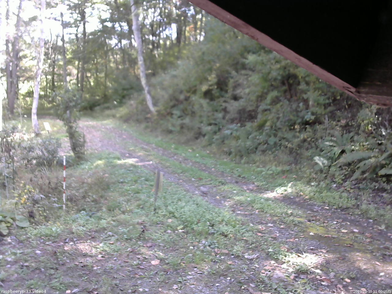 長野県菅平高原 ゆたか山荘 東側(坂下) 2025/10/10 11:00