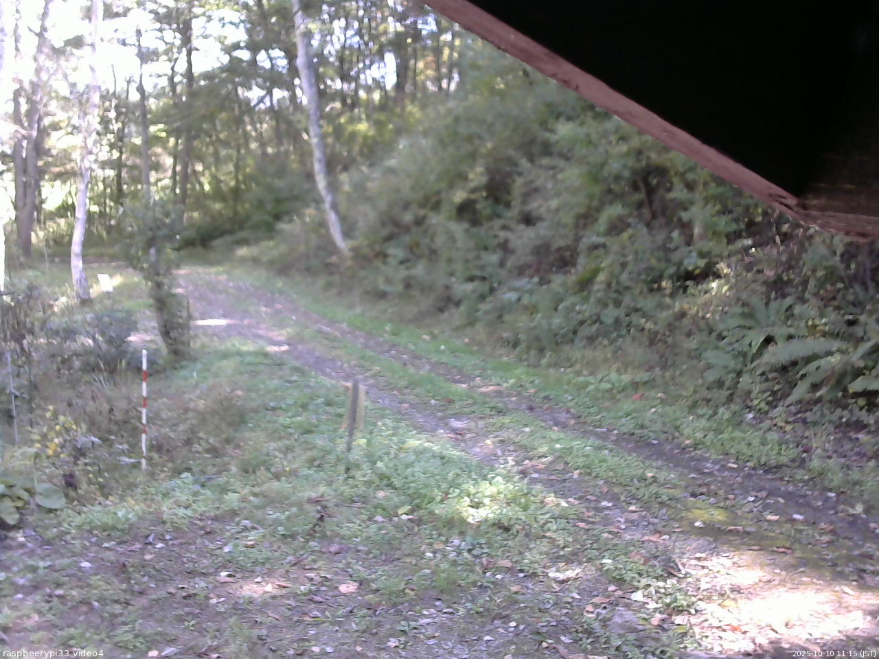 長野県菅平高原 ゆたか山荘 東側(坂下) 2025/10/10 11:15
