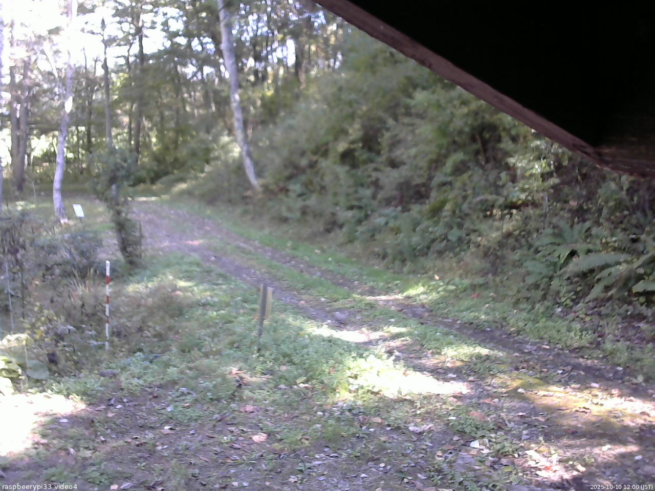 長野県菅平高原 ゆたか山荘 東側(坂下) 2025/10/10 12:00