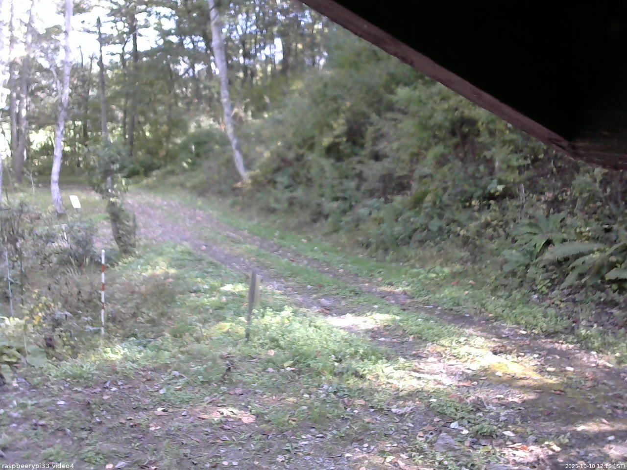 長野県菅平高原 ゆたか山荘 東側(坂下) 2025/10/10 12:15