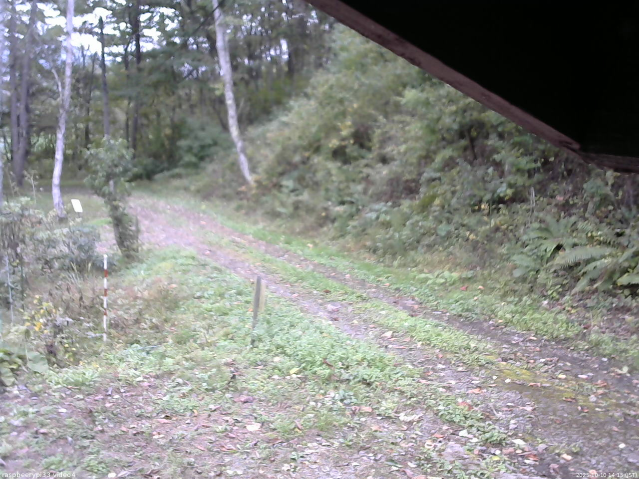 長野県菅平高原 ゆたか山荘 東側(坂下) 2025/10/10 14:15