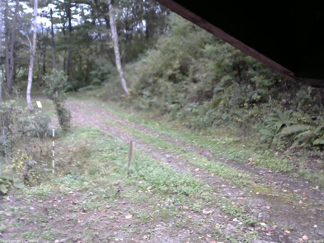 長野県菅平高原 ゆたか山荘 東側(坂下) 2025/10/10 15:30