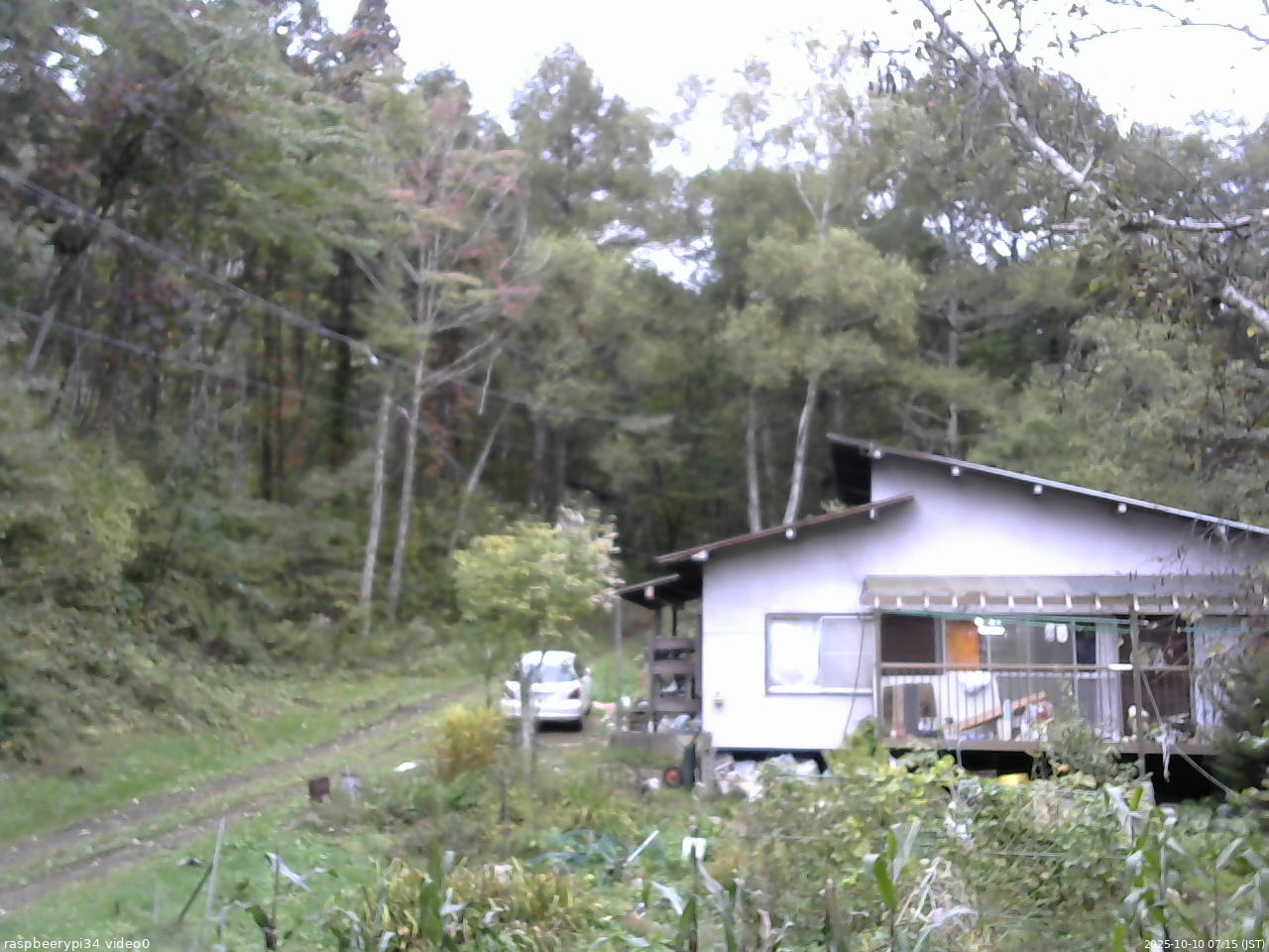 長野県菅平高原 ゆたか山荘 西側(坂上) 2025/10/10 07:15