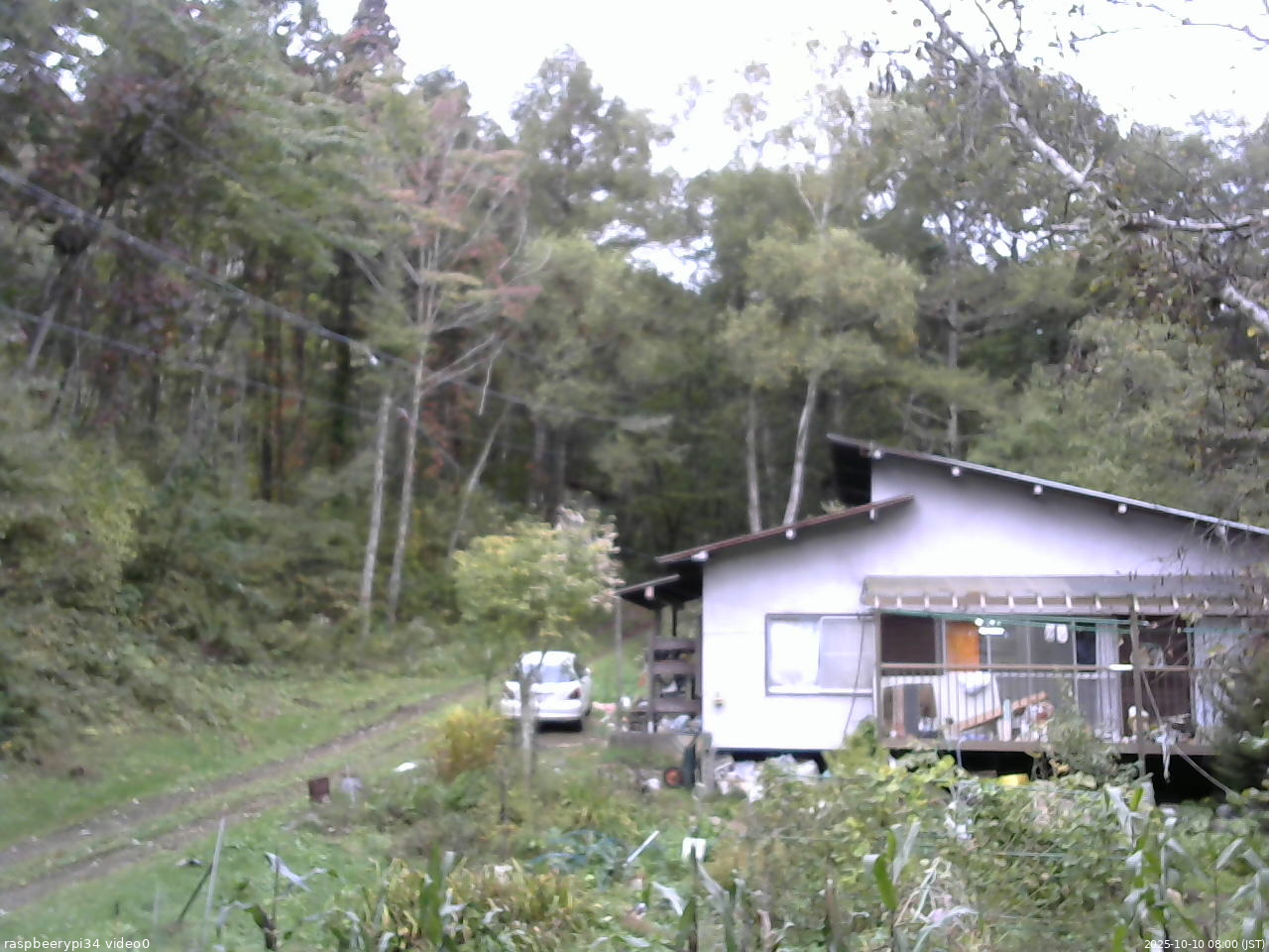 長野県菅平高原 ゆたか山荘 西側(坂上) 2025/10/10 08:00