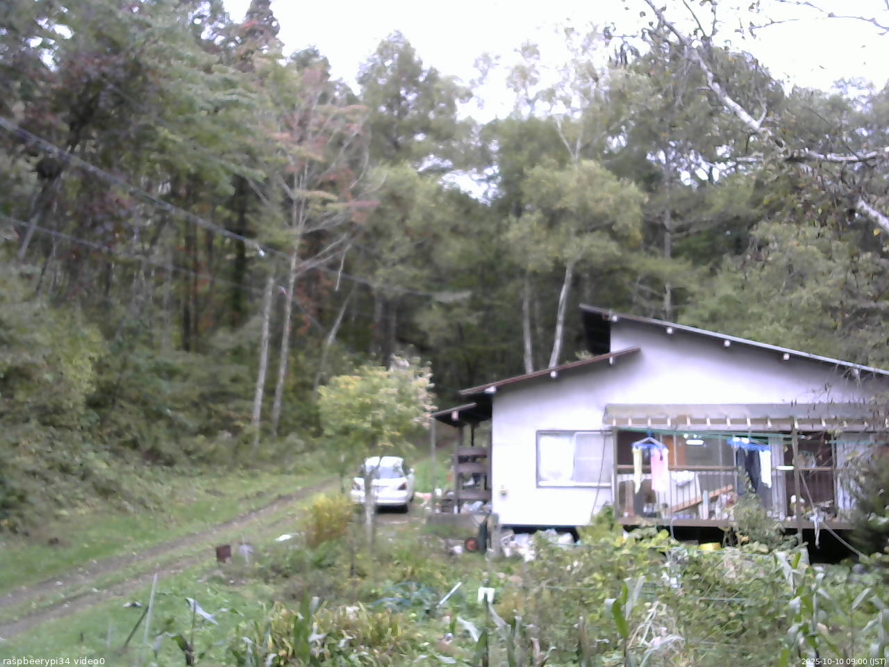 長野県菅平高原 ゆたか山荘 西側(坂上) 2025/10/10 09:00